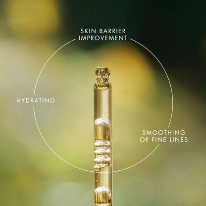 EVE LOM Renewal Treatment Face Oil